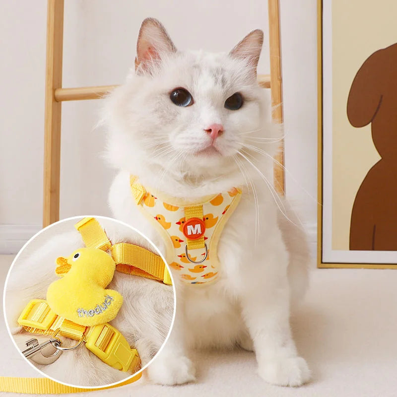Pet Collars