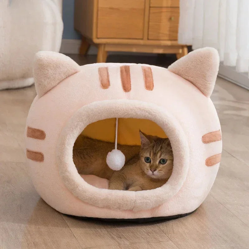 Bed & House