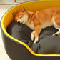 Four Seasons Puppy Pet Products Baskets