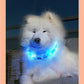 New Led Luminous Dog Collar PVC Waterproof , For Large Medium Small Dogs Collar Usb Light Night Safety Pet Glowing Accessories