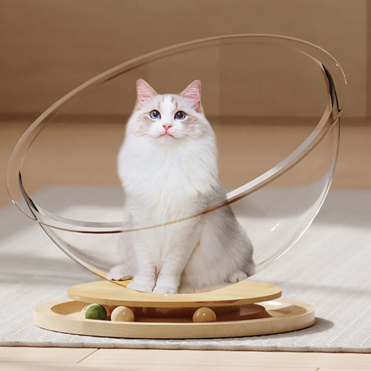 Space Capsule Cat Bed Kitten Nest