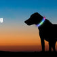 New Led Luminous Dog Collar PVC Waterproof , For Large Medium Small Dogs Collar Usb Light Night Safety Pet Glowing Accessories