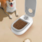 Pet Automatic Timing Feeder