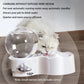 Cat Water Dispenser Automatic Recirculating Siphon Fountain Pet Feeder