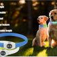 New Led Luminous Dog Collar PVC Waterproof , For Large Medium Small Dogs Collar Usb Light Night Safety Pet Glowing Accessories