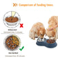 3 In 1 Triple Dog Bowl Removable Stainless Steel Pet Slower Food Bowl Anti-choking Food Water Feeder For Dogs Cat Accessories
