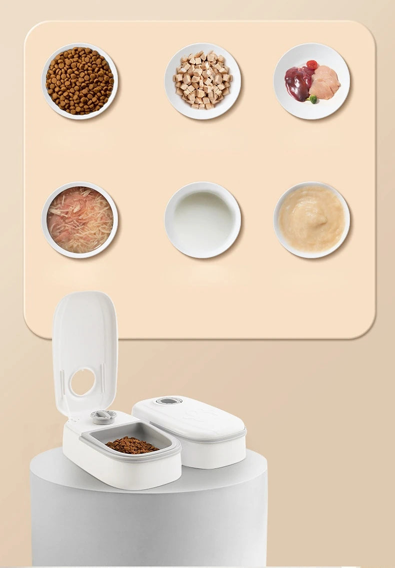 Pet Automatic Timing Feeder
