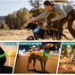 New Led Luminous Dog Collar PVC Waterproof , For Large Medium Small Dogs Collar Usb Light Night Safety Pet Glowing Accessories