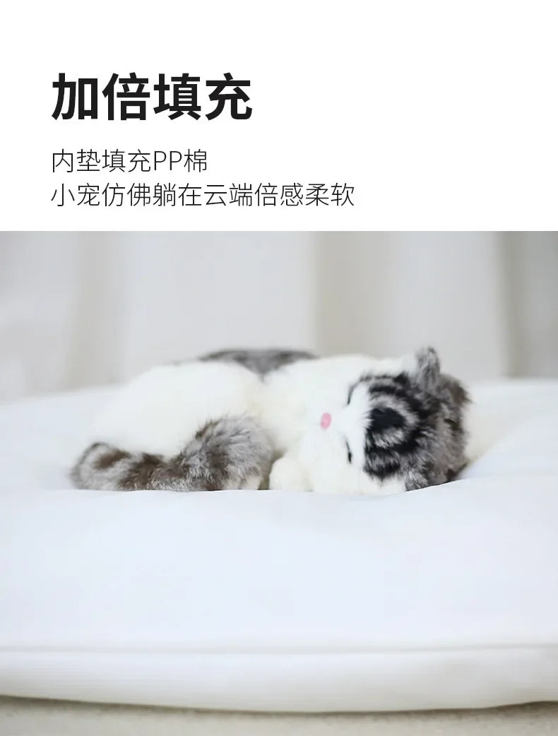 Pet Teepee with Double-Sided Thick Cushion