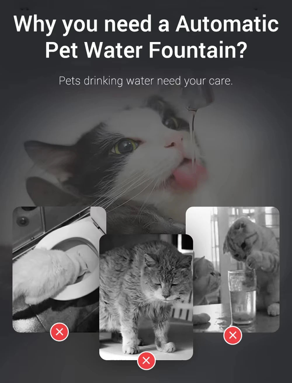Cat Water Dispenser Automatic Recirculating Siphon Fountain Pet Feeder